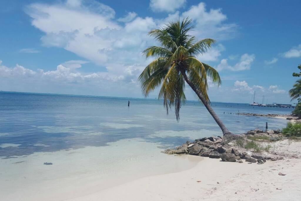 Marysol Private Beach Next To Nomads D5 إيسلا موخيريس المظهر الخارجي الصورة