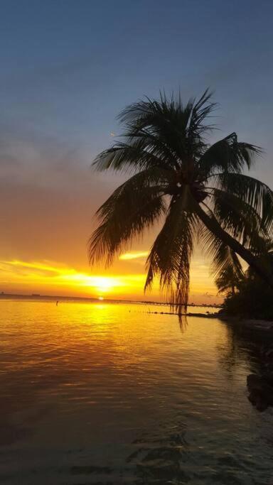 Marysol Private Beach Next To Nomads D5 إيسلا موخيريس المظهر الخارجي الصورة
